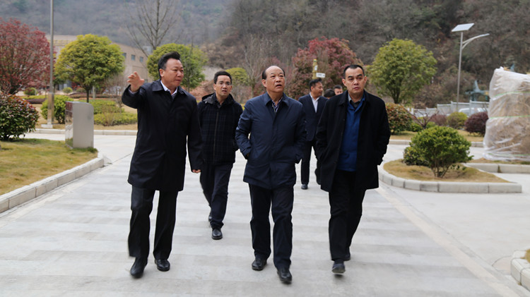 202004091586415836376097.jpg 6.jpg