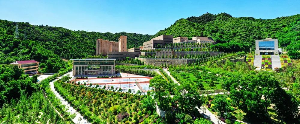 202208291661736881402906.jpg 9.jpg