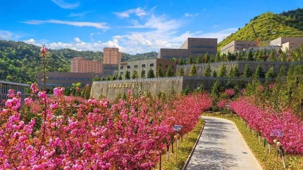 202212291672297776612298.jpg 7.jpg