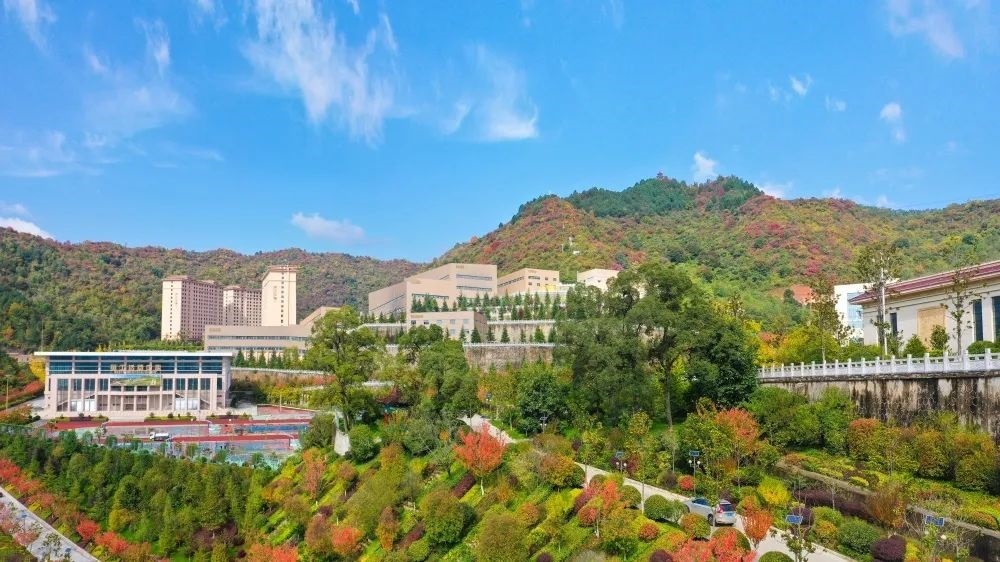 202311161700107009400685.jpg 640 (4).JPG